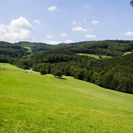 Waldhof Grasel Aparthotel Neuhaus (Baden)