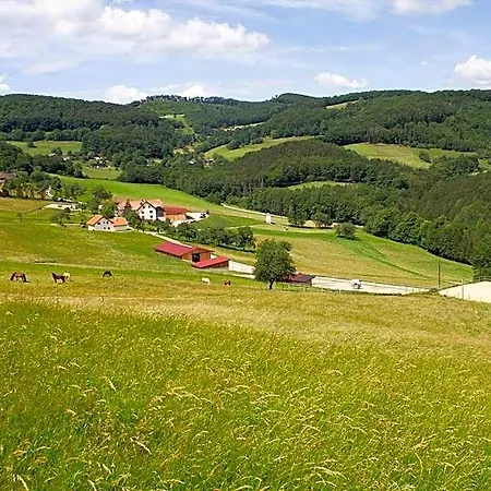Waldhof Grasel 아파트호텔 Neuhaus (Baden)